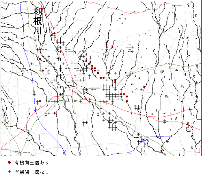 図５　有機質土層の存在の有無